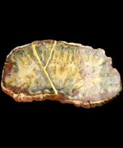 Alternative view of Kintsugi fossilized wood