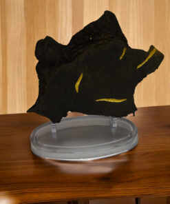 Alternative view of Morta Mangrove Wood Slice: A Unique Work of Art, Sublimated by Kintsugi