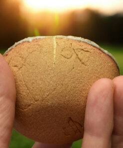 Alternative view of Kintsugi white sandstone cup