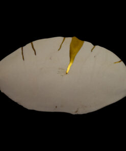 Alternative view of Porcelain canapé plate