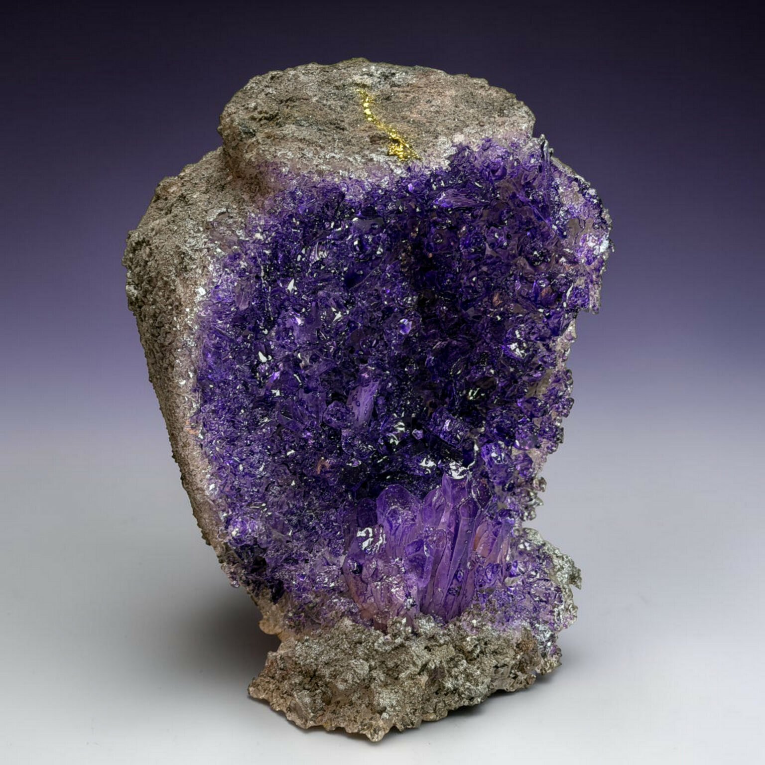 Rough rock embedded with dark purple amethyst crystals, featuring a thin gold vein along the top against a gray gradient background