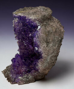 Rough brown rock with purple amethyst crystals growing along the surface.